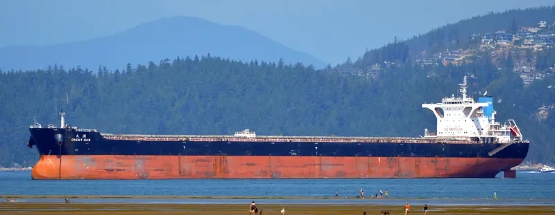 GREAT HAN Bulk Carrier IMO 9445332 photo 3