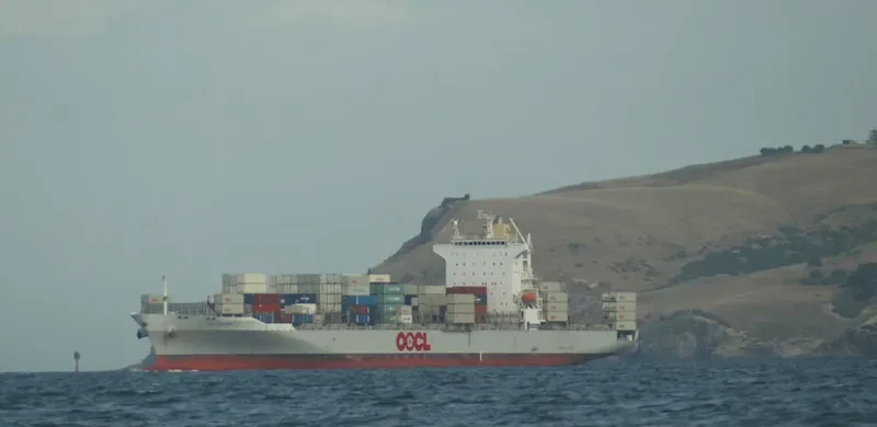 OOCL DALIAN Container Ship IMO 9445526 photo 2