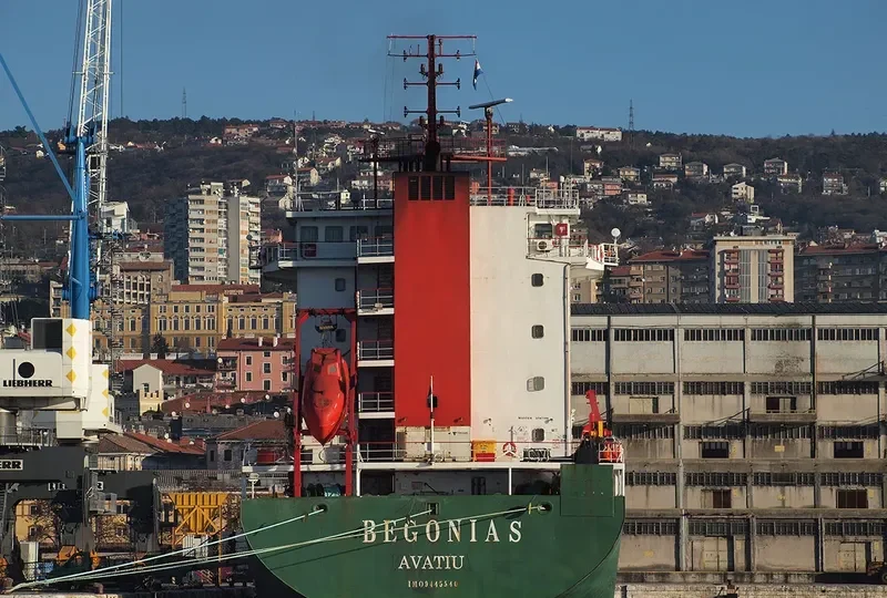 BEGONIA S General Cargo IMO 9445540