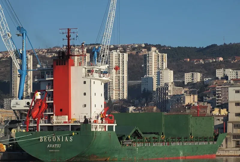 BEGONIA S General Cargo IMO 9445540 photo 2