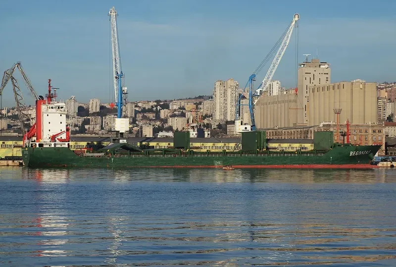 BEGONIA S General Cargo IMO 9445540 photo 3