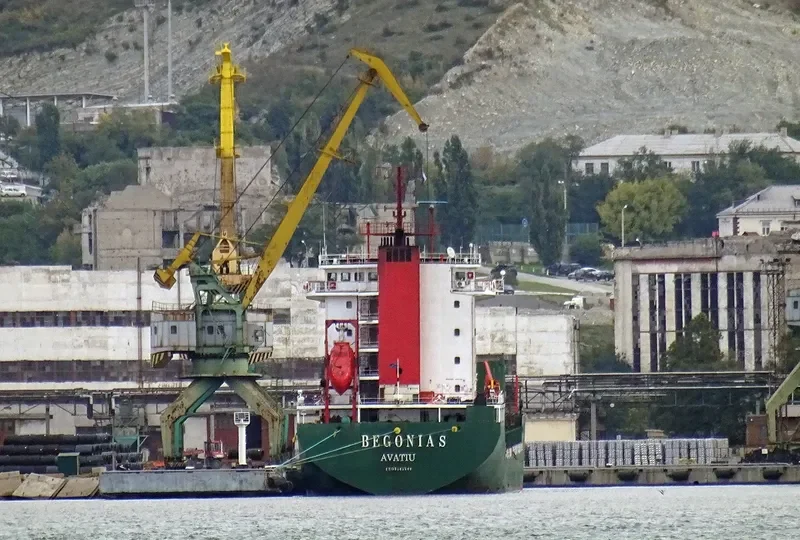 BEGONIA S General Cargo IMO 9445540 photo 4