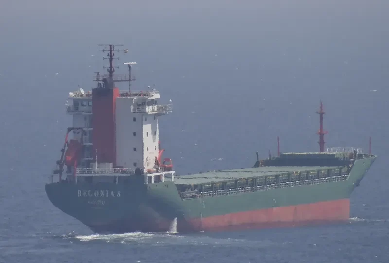 BEGONIA S General Cargo IMO 9445540 photo 6