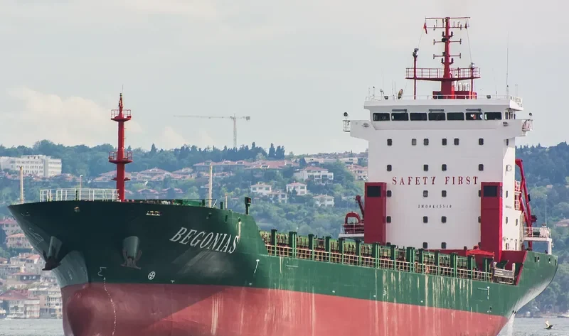 BEGONIA S General Cargo IMO 9445540 photo 7