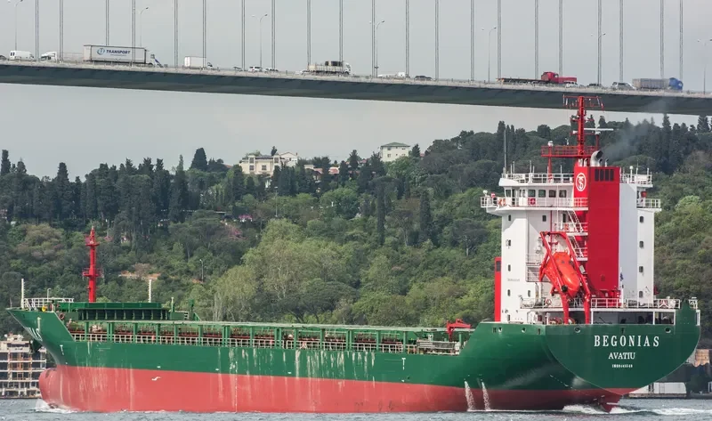 BEGONIA S General Cargo IMO 9445540 photo 8