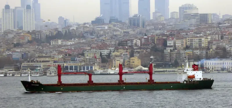 BEGONIA S General Cargo IMO 9445540 photo 9