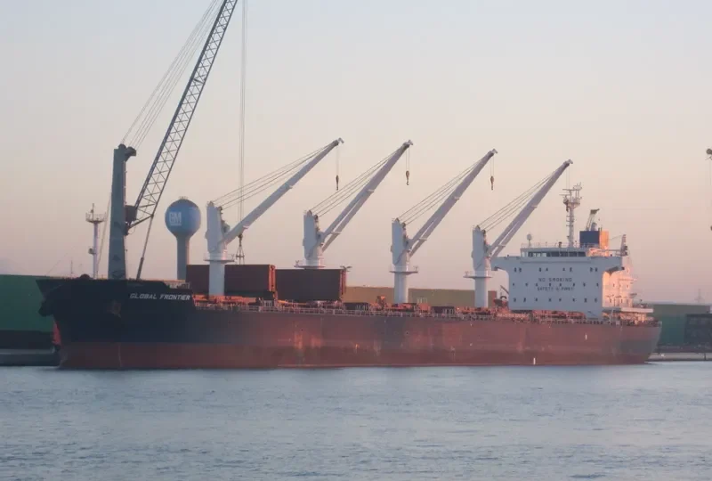 GLOBAL FRONTIER Bulk Carrier IMO 9445605 photo 3