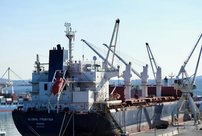 GLOBAL FRONTIER Bulk Carrier IMO 9445605 photo 4