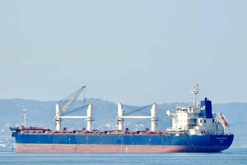 GLOBAL FRONTIER Bulk Carrier IMO 9445605 photo 6