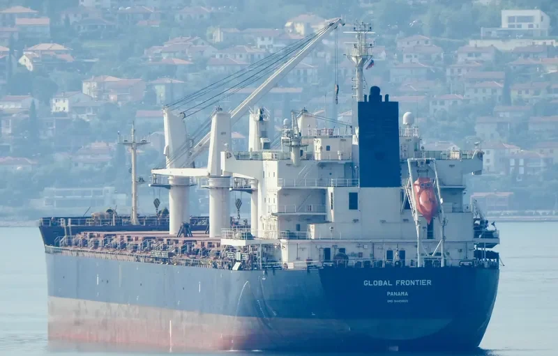 GLOBAL FRONTIER Bulk Carrier IMO 9445605 photo 7