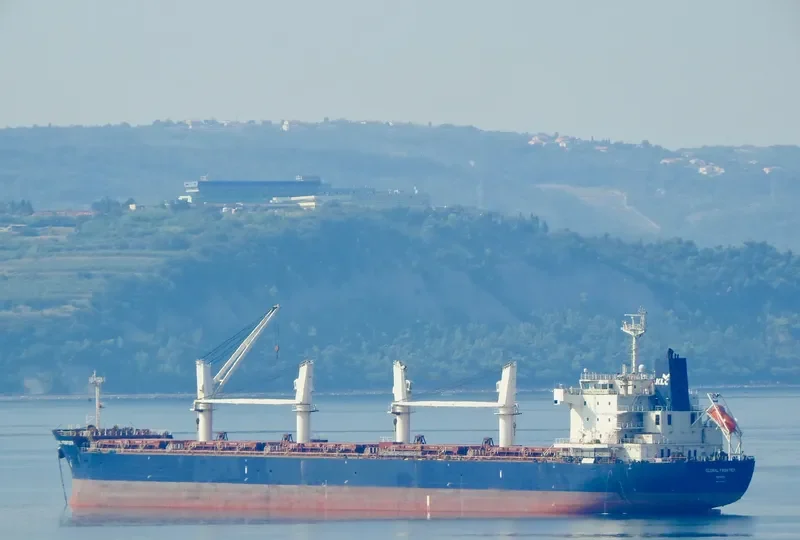 GLOBAL FRONTIER Bulk Carrier IMO 9445605 photo 8
