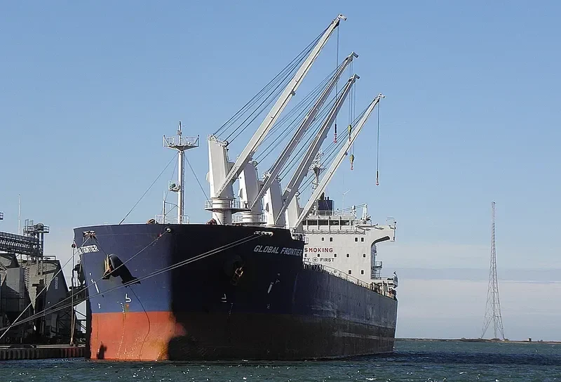 GLOBAL FRONTIER Bulk Carrier IMO 9445605 photo 9