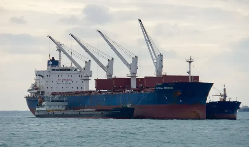 GLOBAL GENESIS Bulk Carrier IMO 9445617