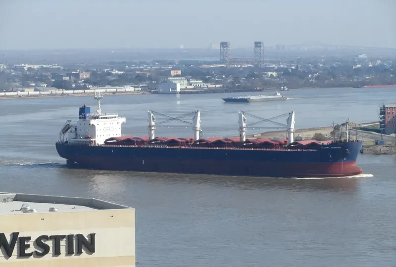 GLOBAL GENESIS Bulk Carrier IMO 9445617 photo 4
