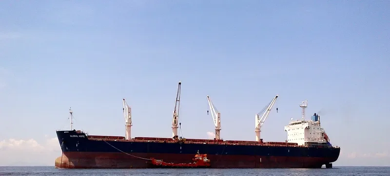 GLOBAL HOPE Bulk Carrier IMO 9445629