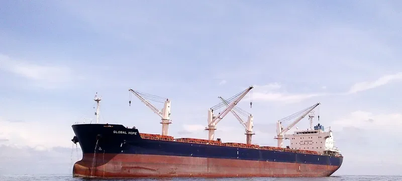 GLOBAL HOPE Bulk Carrier IMO 9445629 photo 2