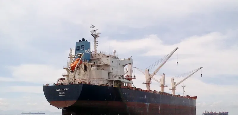 GLOBAL HOPE Bulk Carrier IMO 9445629 photo 4