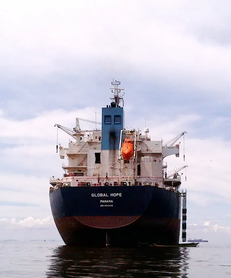 GLOBAL HOPE Bulk Carrier IMO 9445629 photo 5