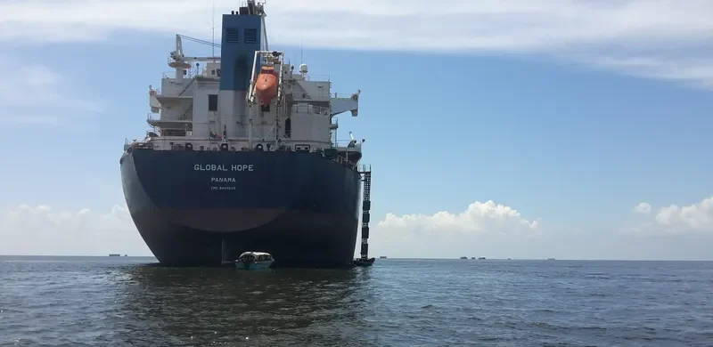 GLOBAL HOPE Bulk Carrier IMO 9445629 photo 6