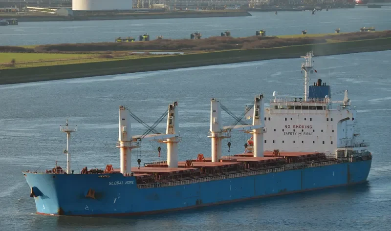 GLOBAL HOPE Bulk Carrier IMO 9445629 photo 9