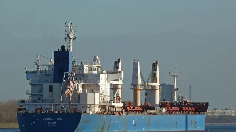 GLOBAL HOPE Bulk Carrier IMO 9445629 photo 10