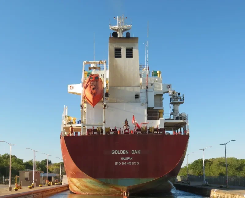 GOLDEN OAK Tanker IMO 9445655 photo 3