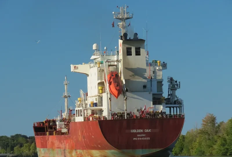 GOLDEN OAK Tanker IMO 9445655 photo 4