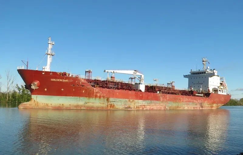 GOLDEN OAK Tanker IMO 9445655 photo 6