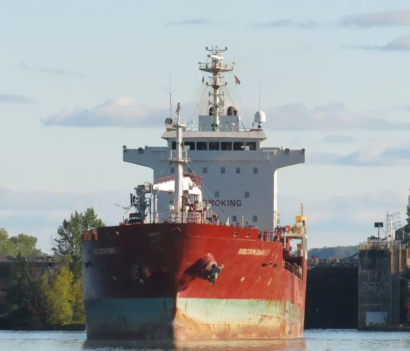 GOLDEN OAK Tanker IMO 9445655 photo 7