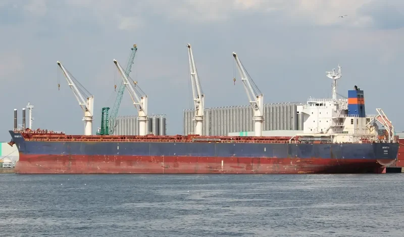 INFINITY V Bulk Carrier IMO 9445679 photo 5
