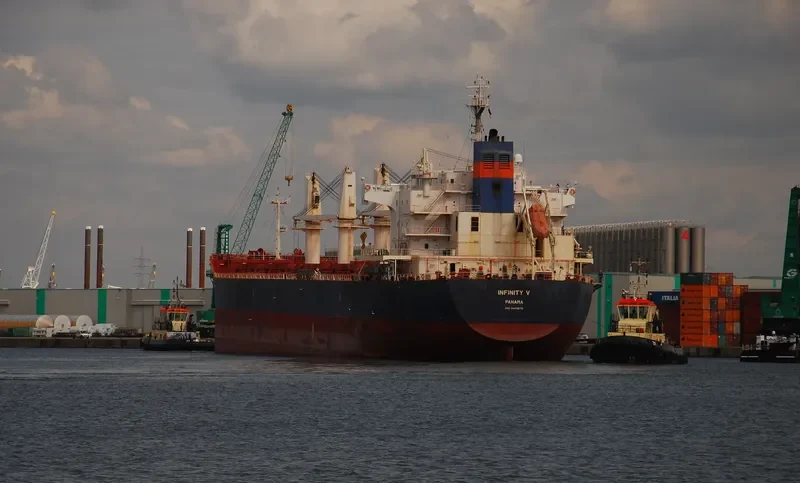 INFINITY V Bulk Carrier IMO 9445679 photo 6