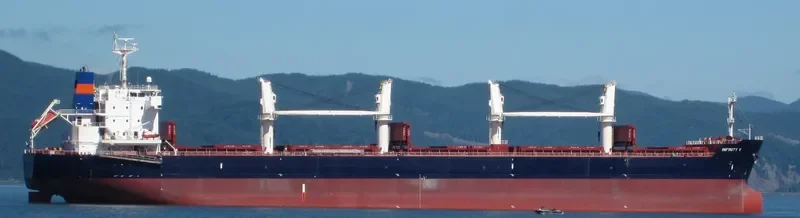 INFINITY V Bulk Carrier IMO 9445679 photo 8
