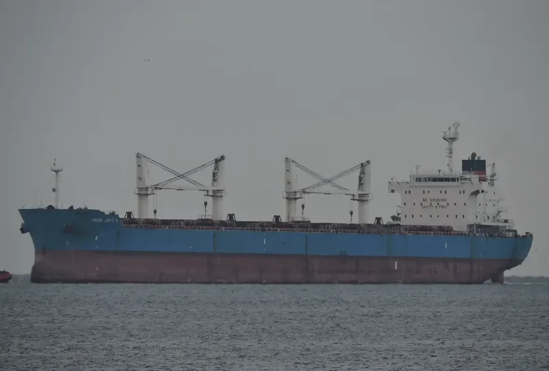 IRON LADY V Bulk Carrier IMO 9445681