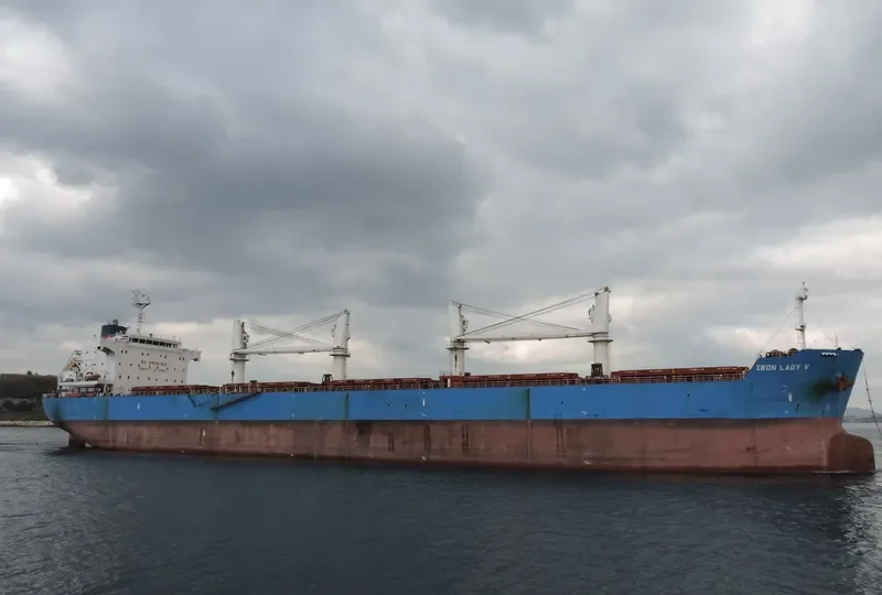 IRON LADY V Bulk Carrier IMO 9445681 photo 2