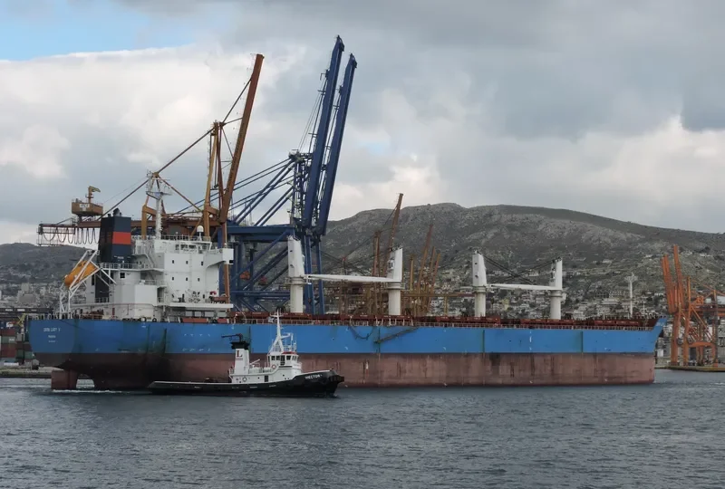 IRON LADY V Bulk Carrier IMO 9445681 photo 3