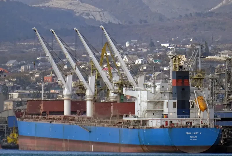 IRON LADY V Bulk Carrier IMO 9445681 photo 6