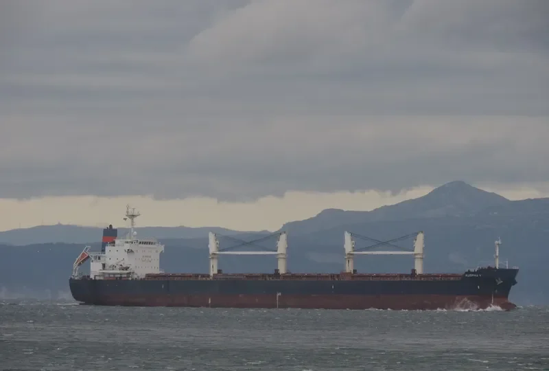 IRON LADY V Bulk Carrier IMO 9445681 photo 7
