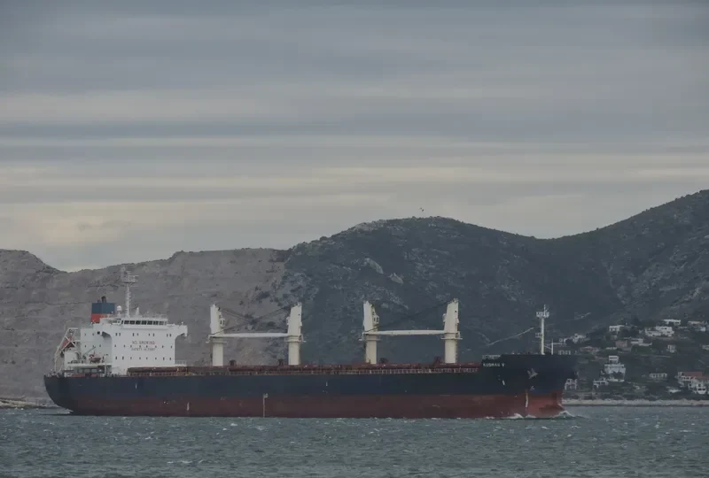 IRON LADY V Bulk Carrier IMO 9445681 photo 8