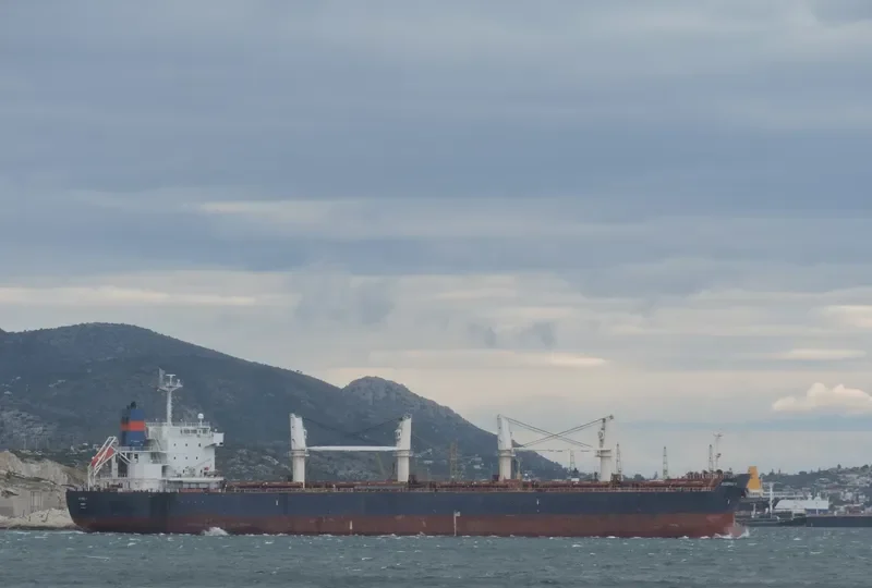 IRON LADY V Bulk Carrier IMO 9445681 photo 9