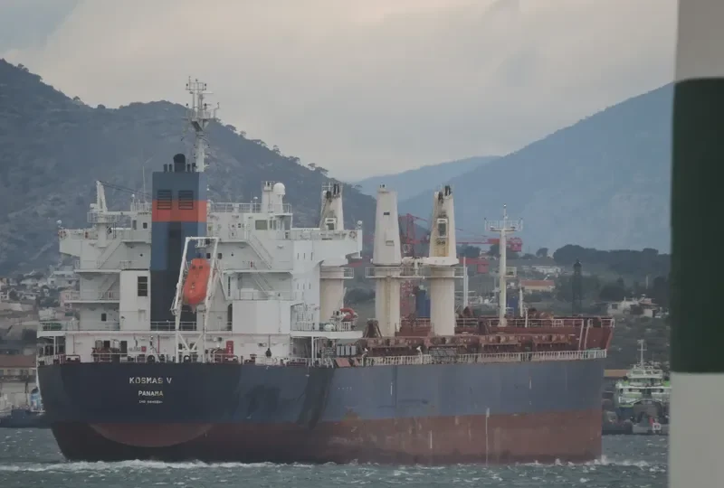 IRON LADY V Bulk Carrier IMO 9445681 photo 10