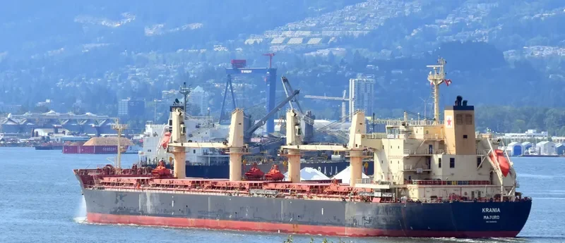 ECOPACIFIC Bulk Carrier IMO 9445693