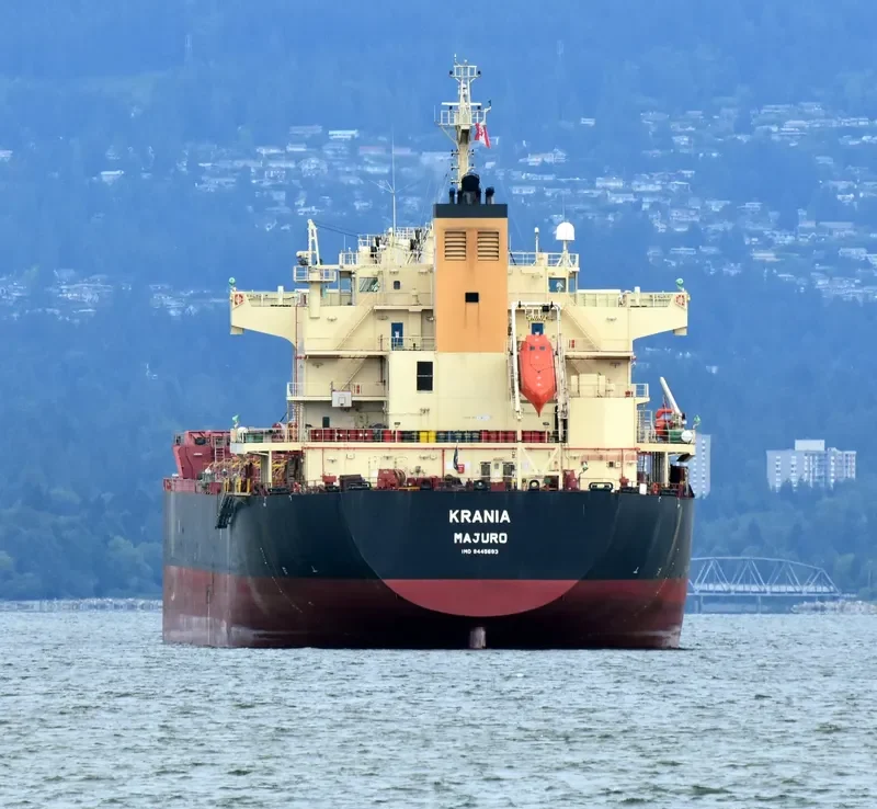 ECOPACIFIC Bulk Carrier IMO 9445693 photo 4