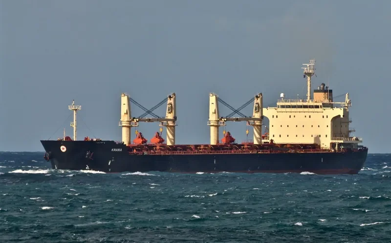 ECOPACIFIC Bulk Carrier IMO 9445693 photo 9