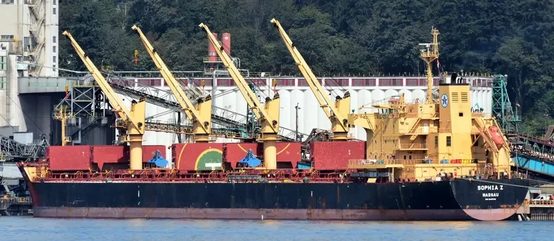 SOPHIA Z Bulk Carrier IMO 9445708
