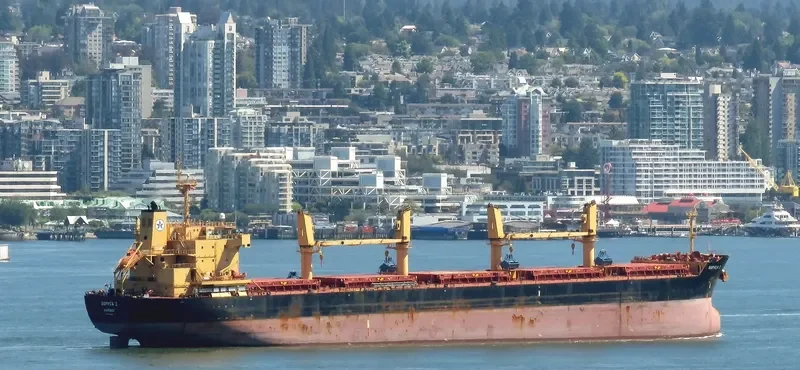 SOPHIA Z Bulk Carrier IMO 9445708 photo 2
