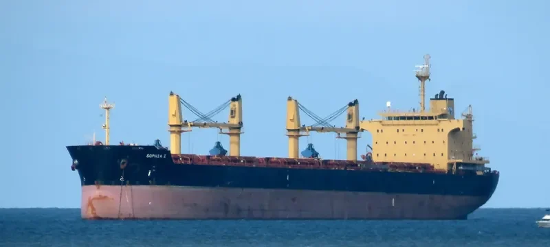 SOPHIA Z Bulk Carrier IMO 9445708 photo 3
