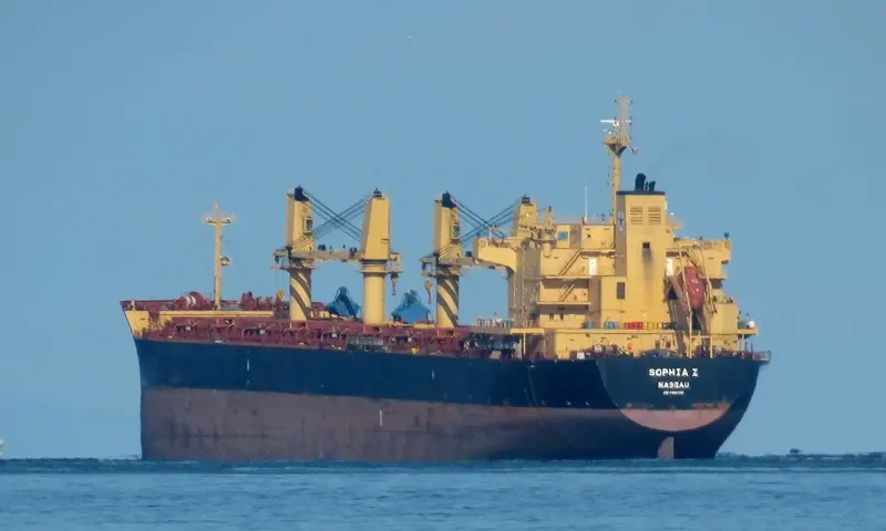 SOPHIA Z Bulk Carrier IMO 9445708 photo 4