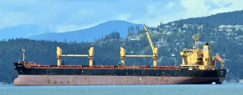 SOPHIA Z Bulk Carrier IMO 9445708 photo 5