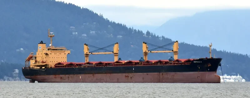 SOPHIA Z Bulk Carrier IMO 9445708 photo 6