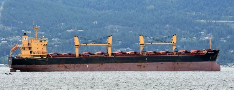 SOPHIA Z Bulk Carrier IMO 9445708 photo 7